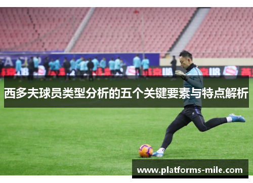 西多夫球员类型分析的五个关键要素与特点解析 西多夫球员类型分析的五个关键要素与特点解析