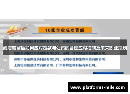 魏震禁赛后如何应对罚款与处罚的合理应对措施及未来职业规划